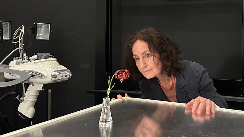 AMNCNNRD's tweet photo. The first episode of the new season of Fake Or Fortune was thrilling... hope the Faberge lily eventually gets valued correctly... the provenance certainly convinced me! #FakeOrFortune #bbc https://t.co/wz8nKHPcAw