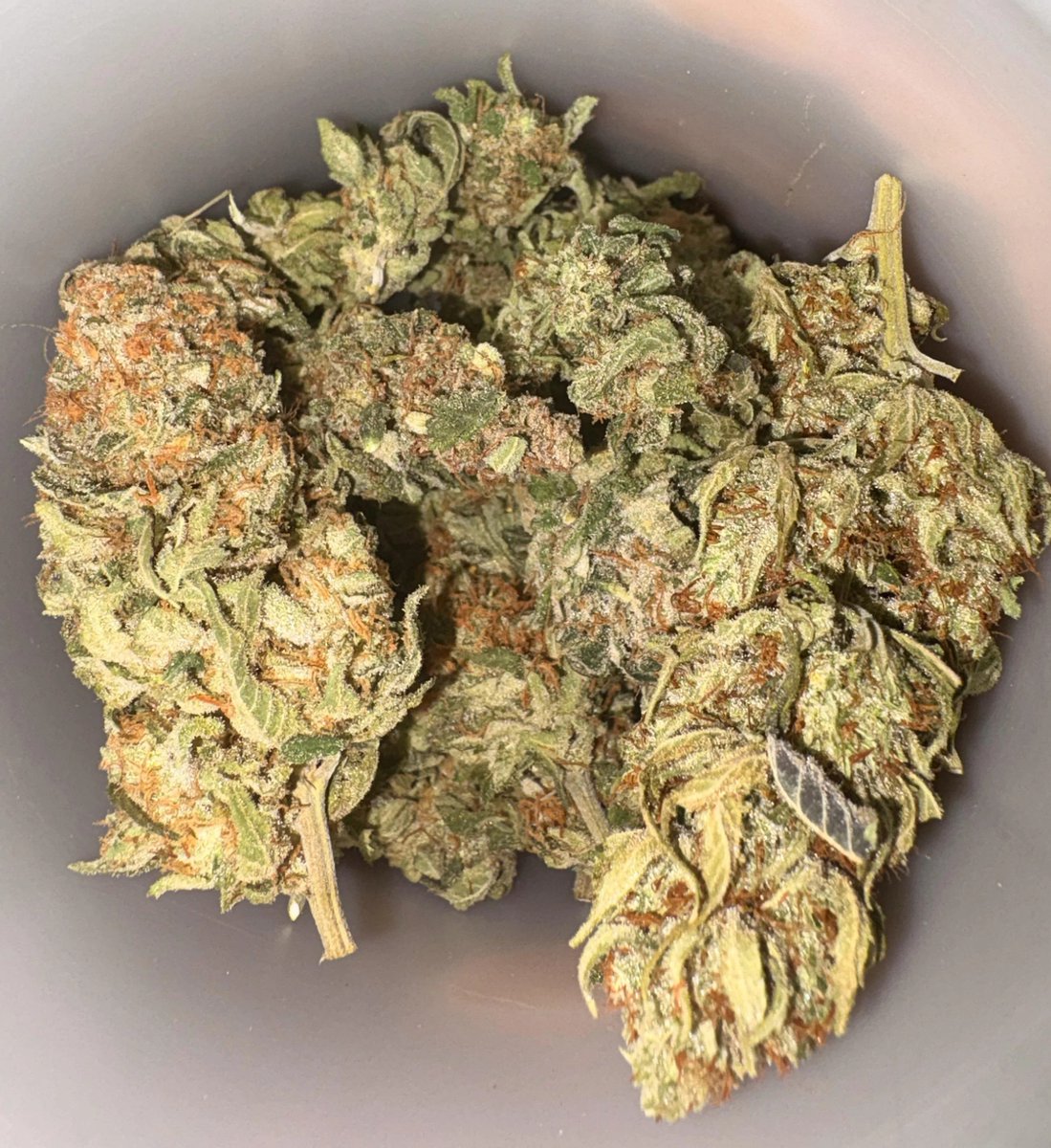 22_videla's tweet photo. Cardápio📋👇
https://t.co/dx32oeOpfB

COMPRA MACONHA 

ENTREGAS RÁPIDAS E DISCRETAS 🍁💚🛵

Qualidade 👌👌👌

#delivery #vilavelha #maconha #maconhavilhacolho #skank #maconhaevilavelha #Vilavelha #colombiagold #campinas #osasco #maconhaembh #cremas #ice #fullmelt #cremas #crumble #maconhasp #prensado  #cannabis #Jundiaí #haxixe #Rio #sorocaba #Maceió #Salvador #Bahia #Fortaleza #manaus #florianopolis 
Maconha em Vila Velha