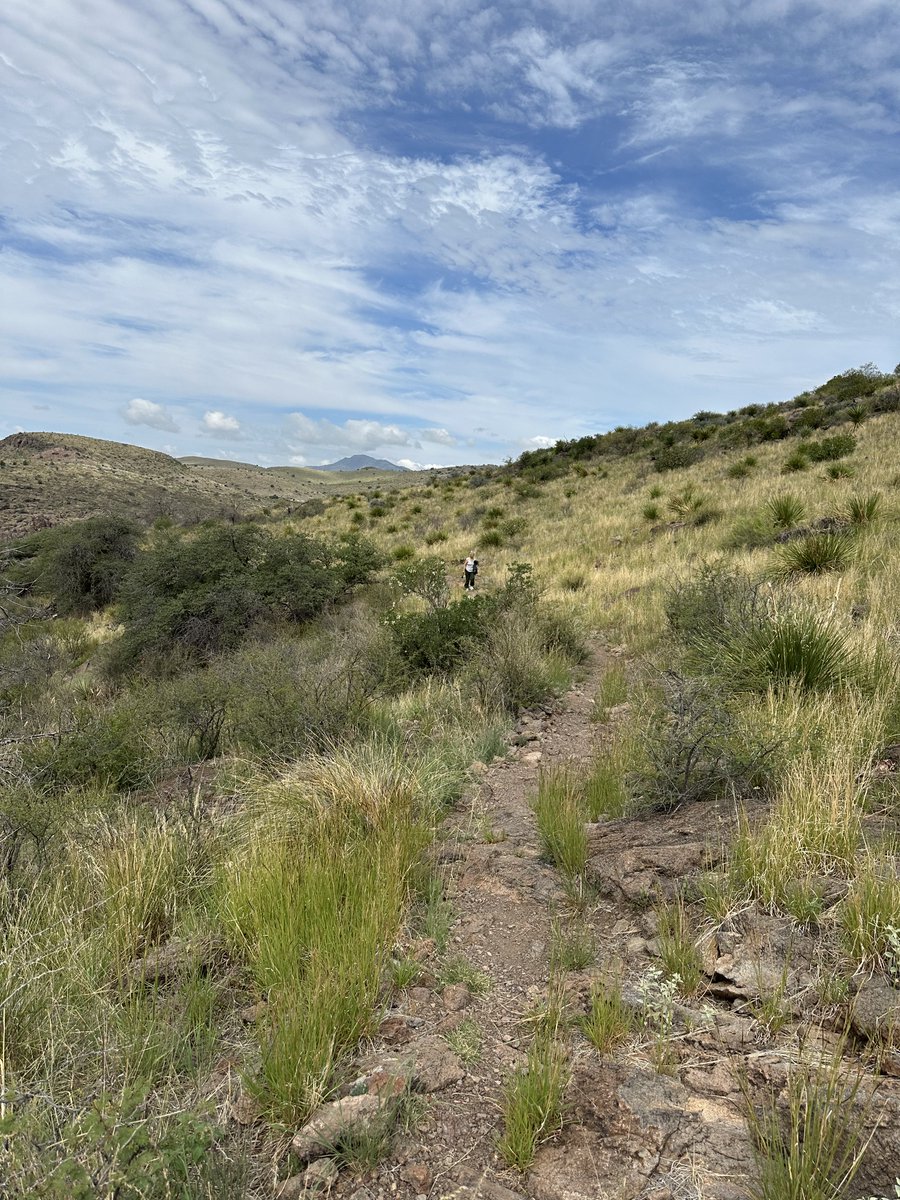 4arrao's tweet photo. What a day - hiking sleeping lion lion mountain@Fort Davis and dinner at the fabulous @cochineal _marfa https://t.co/v177Y5TSWd