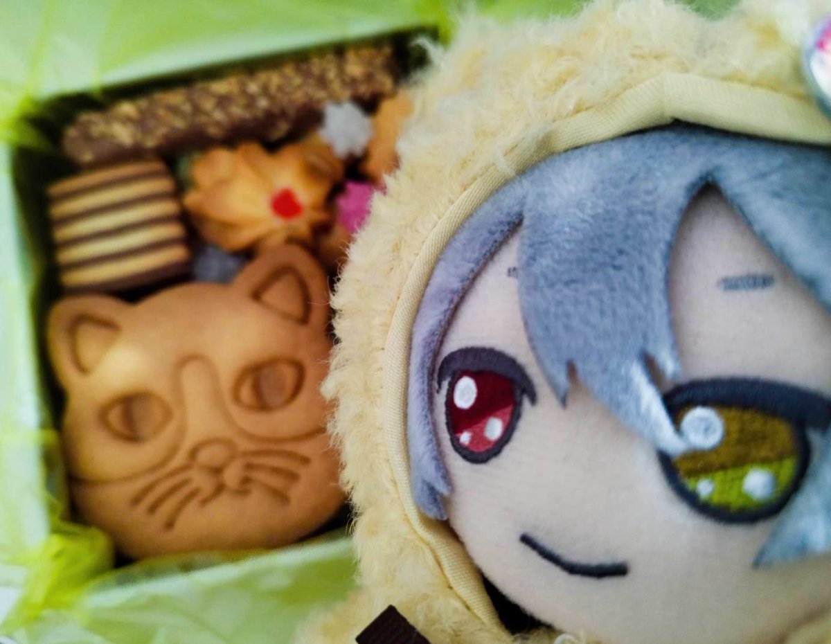 merryko_sub's tweet photo. 💼「猫のクッキー、僕の顔サイズ」 https://t.co/sLLST5uCTb