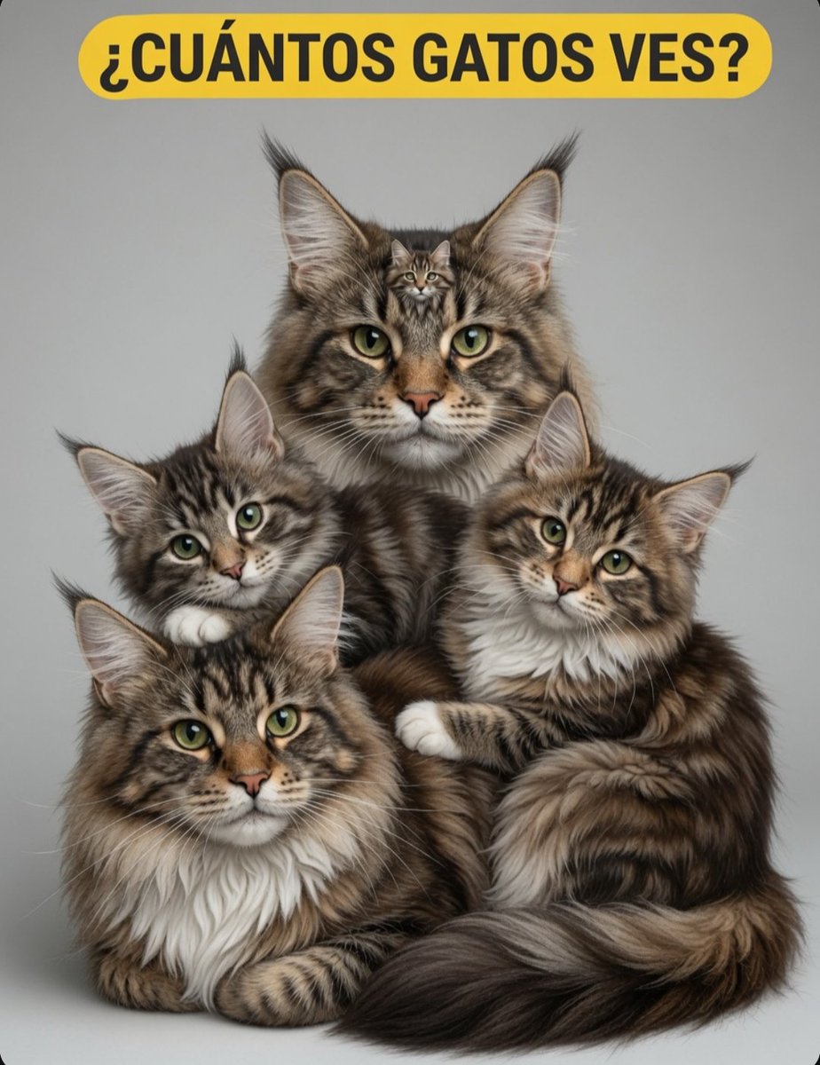 AlejoPrieto29's tweet photo. ¿Cuántos gatos ves? 🧐 https://t.co/VLqd4PMCS2