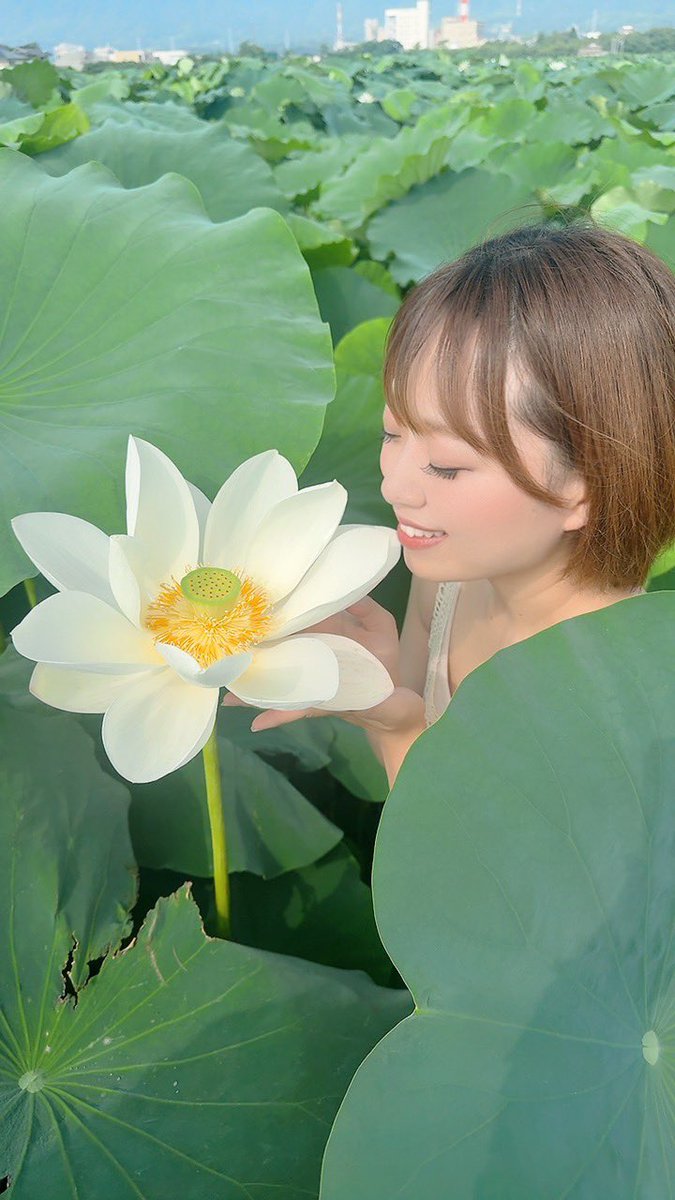 airi5150's tweet photo. おはよう☀

今朝は早起きして岩国の蓮根畑へ🪷
お花がとっても素敵だった💓

みんなも連休楽しんでね✨ https://t.co/RlckdSV5Z3