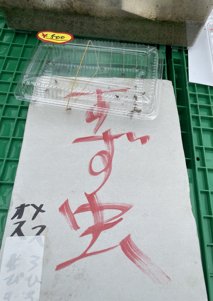 tomiko_ohdate's tweet photo. 7/19朝市
曇り空だが人出多し。3連休だったわ。出遅れてホヤ買えず😢
もも ��� 食べ頃
ミニトマト購入。品種はシュガープラム確かに甘～い
今年も スズ虫が。小さいのが パックの中に見える？お盆頃には鳴くって👂
6時半 パラパラと雨だが 傘 さすほどでもなし #舘鼻岸壁日曜朝市 #八戸 #トマト #スズ虫 https://t.co/iNXpF3VS0w