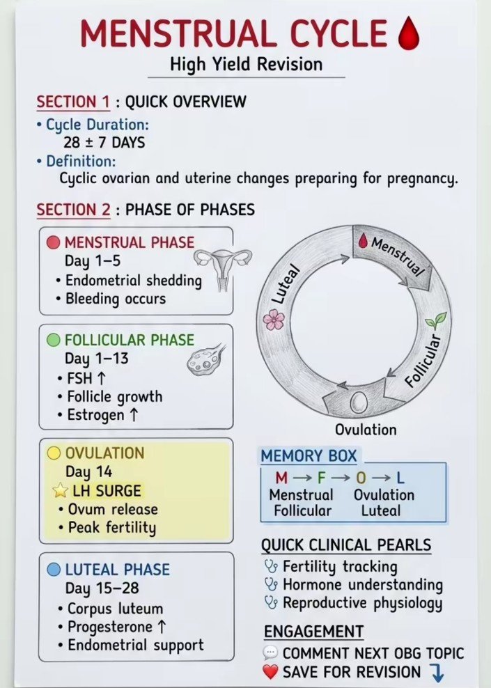 doctorinstaha's tweet photo. @realnorma_kay Menstrual Cycle. https://t.co/PF2FNBjLc0