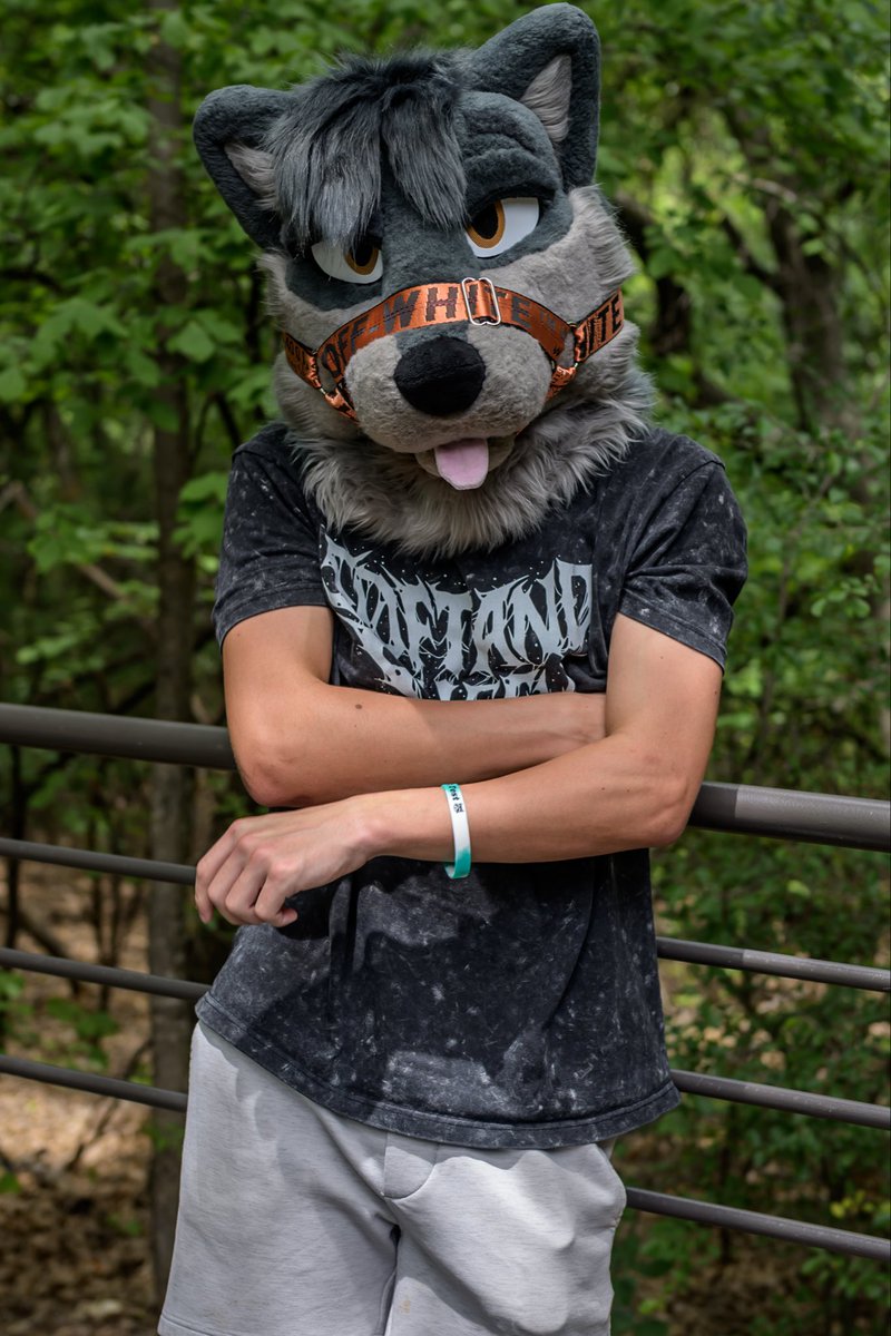 TheFurry729's tweet photo. Forest dog spotted
#fursuit #furry #outdoors #gayashell https://t.co/ivSlyFz7bL