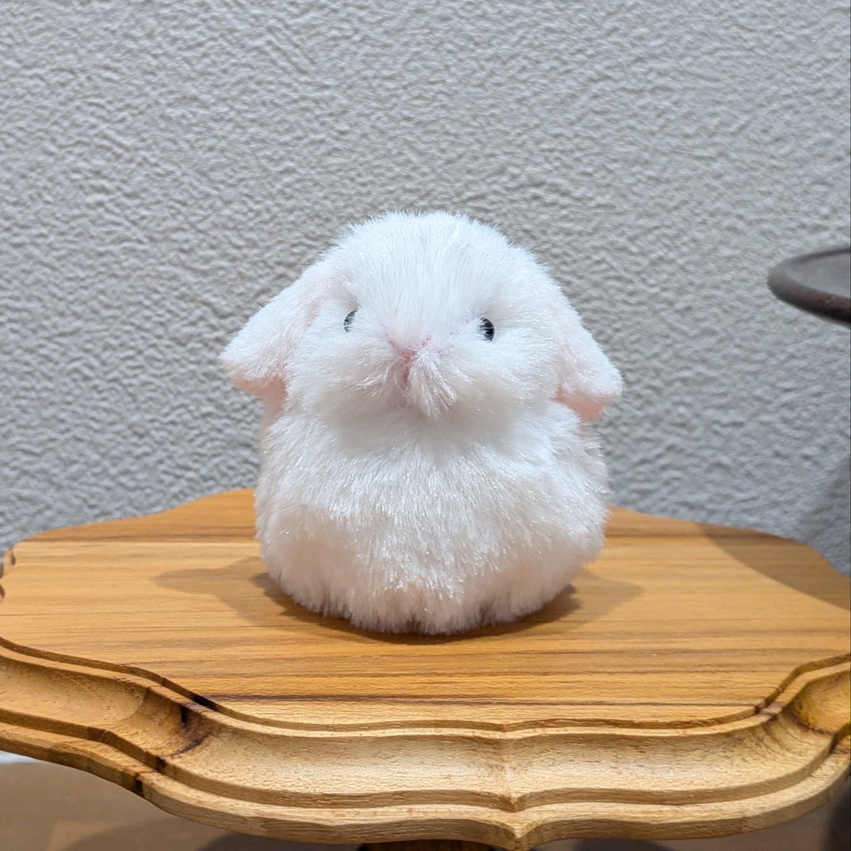Bonita rabbitsさま 作家様 ぬいぐるみ ロップイヤー おもちみたいなうさぎのロップイヤーを少しだけですが受注生産します🐰