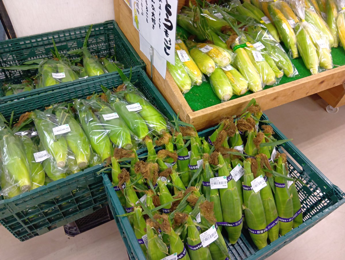 fg_yamabe's tweet photo. おはようございます😊本日も朝採りスイートコーン入荷しました🌽
#山辺ワイナリー　#ファーマーズガーデンやまべ　#農産物直売所　#とうもろこし https://t.co/YsxlagFjIm