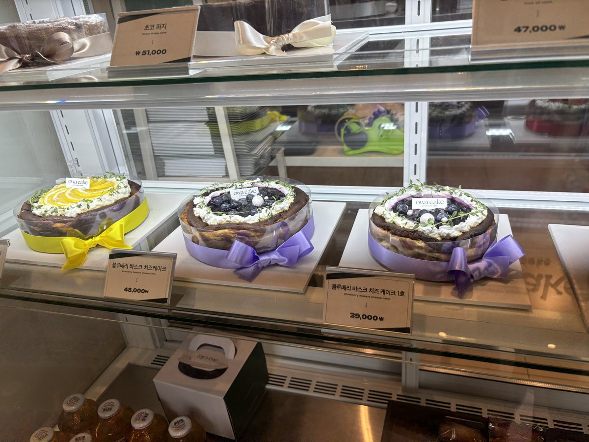 6v6aya's tweet photo. チェックアウト前に朝活☀️
テミンくんが食べてたケーキ屋さんへ🐥🎂💚
ブルーベリーのバスクチーズケーキ美味しい😋ミニサイズでも大きくて、立派な朝ごはんw

#TAEMIN #태민
#WeLoveYouTAEMIN
#태민생일 https://t.co/bVCVd1S10f