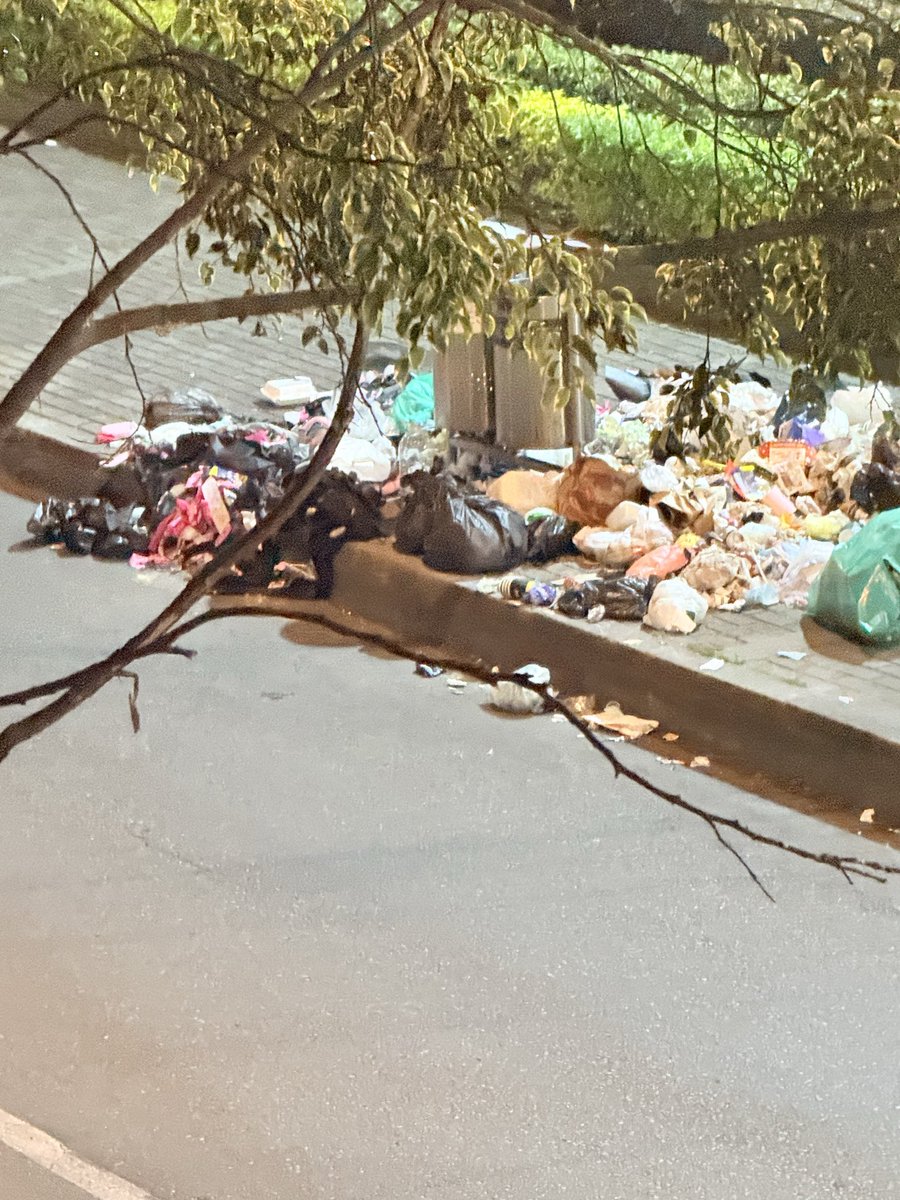 Sauler24's tweet photo. @teusaquillo13  @Bogota  todos los días es peor ! La cantidad de basura en la localidad . Cra 17 con 32 https://t.co/0Ppr85f2xW