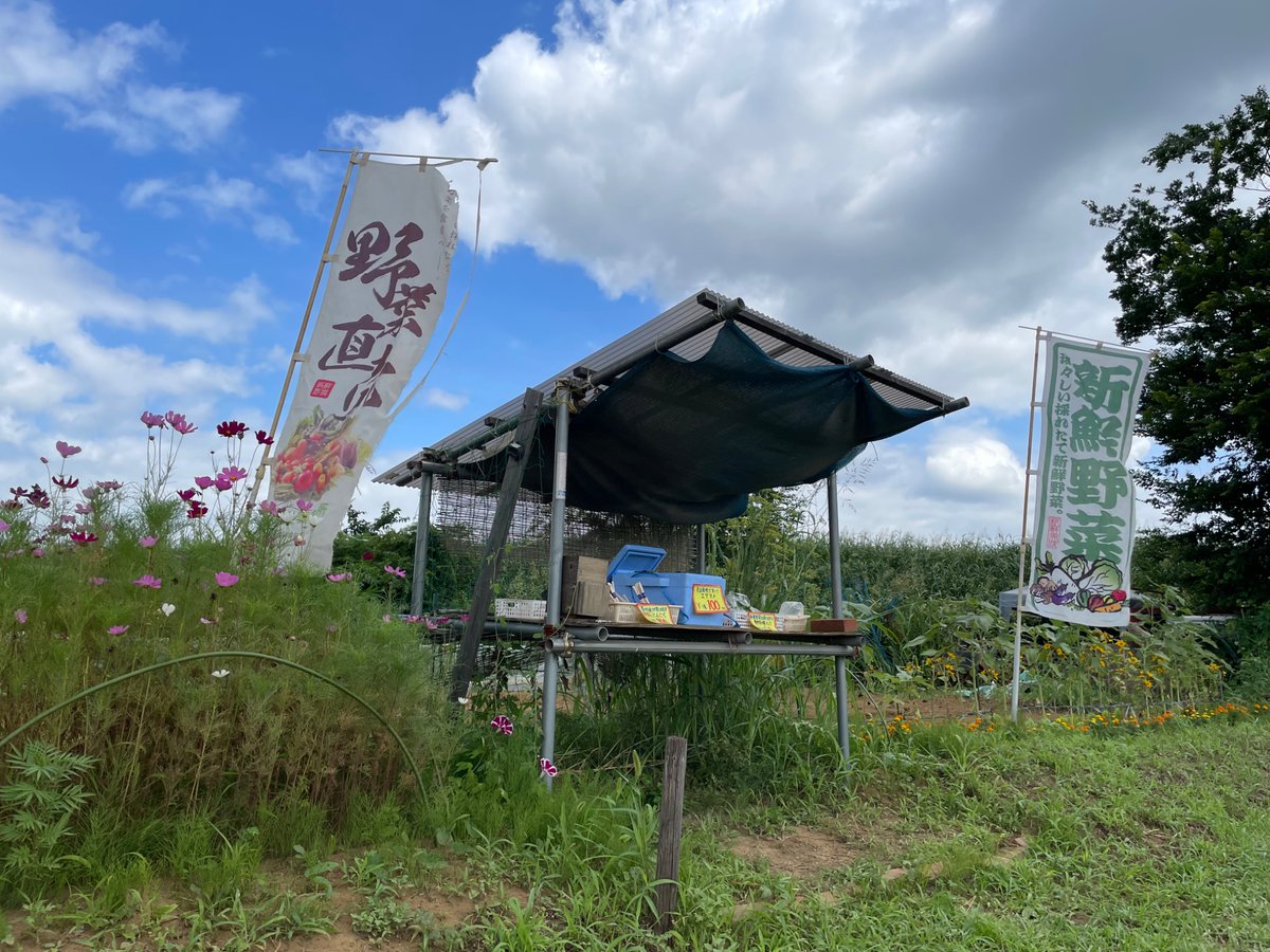 MujinYasai's tweet photo. こんにちは！
本日も枝豆などの夏野菜を販売中です。好評のジャンボニンニクは在庫が少なくなりました。
また、枝豆は明日も販売しますが、その次は8月の2週目以降の販売を予定しています。
ご利用の方はお早めにどうぞ。
今日も営業開始です！
#朝霞市 #野菜 #直売所  #枝豆 #夏野菜 #ニンジン https://t.co/kIqBfgsLAj