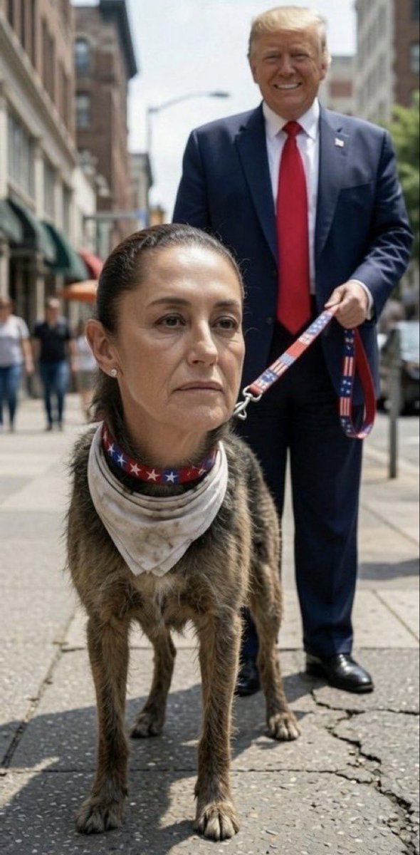 carpercru's tweet photo. @pedroferriz3 #LaPerritaDeTrumpForever https://t.co/5mv0DuYsEE