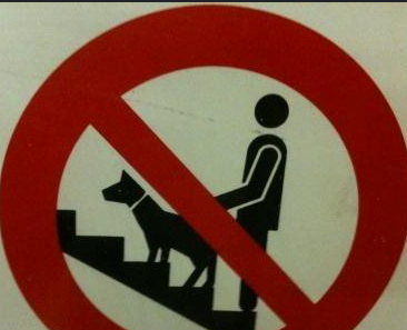 Mippl_'s tweet photo. @Zwyrooo Ja🧍‍♂️i moi kumple 🧍‍♂️🧍‍♂️nie ❌przyjdą 🚶‍♂️ na transmisję 📺

Zakaz ❌ wspierania 🤝świniojeba 🐖🚶 https://t.co/nV3lZaTmXl