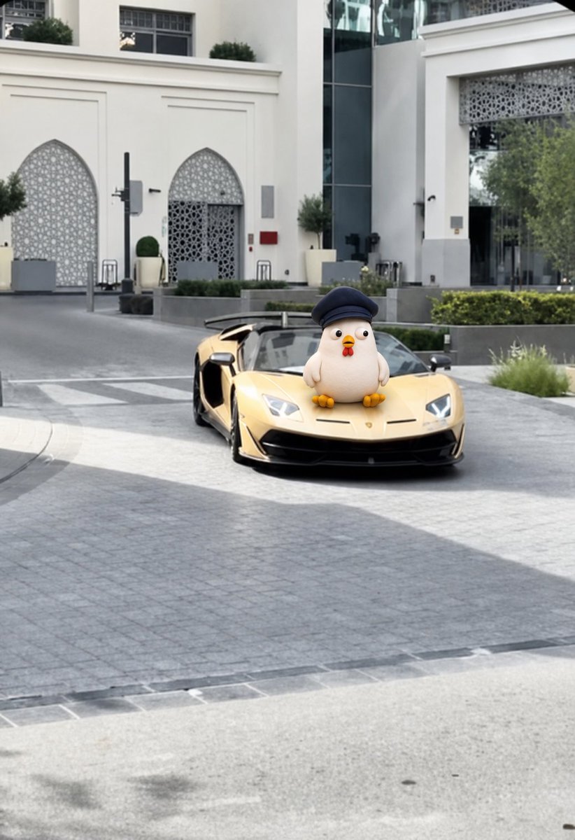 UNALI_official's tweet photo. opened my wallet and nearly passed out.

anyway, i’m off to check lamborghini colors now. 🐔🏎️ https://t.co/arA4VIZ9kn