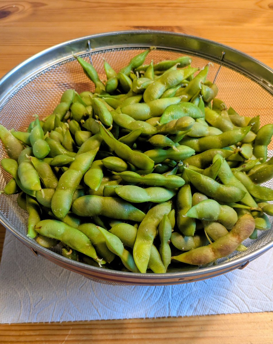 STOMEY_ska's tweet photo. 近所で1kg600円で売ってた枝豆！！
毎年母に届くお中元で茶豆をもらってたんだけど、久しぶりに自分で買った🤣
茶豆と違うから枝豆ってこんなんだっけ？とか思ってるけど美味しい✨ https://t.co/NKvrq6wwIV