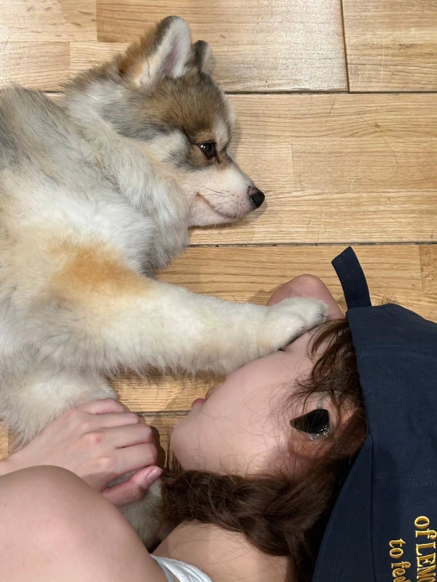 bestofchaewon's tweet photo. 🐶 #KIMCHAEWON #김채원 https://t.co/j2z6YkT20p