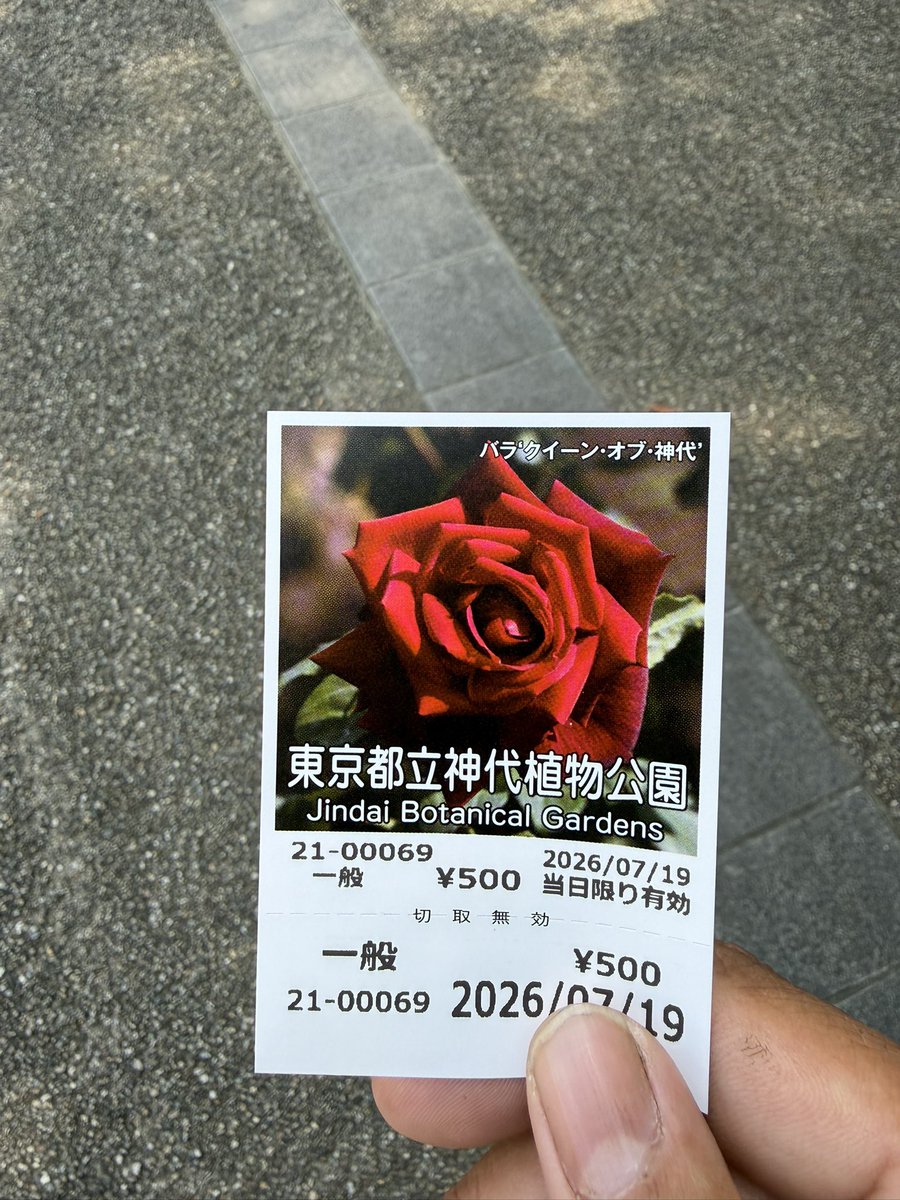 Gora0529ru's tweet photo. ミカの聖地巡礼😆 https://t.co/kewSbj02c7