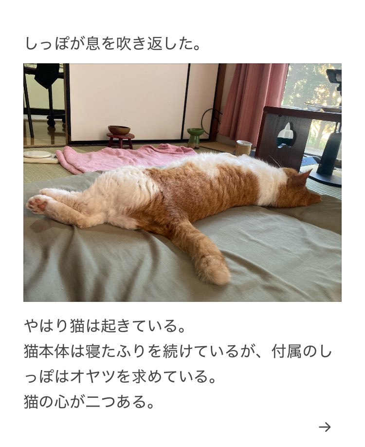 yalalalalalala's tweet photo. 【猫のオヤツの注意】 https://t.co/itq9XoTyfL