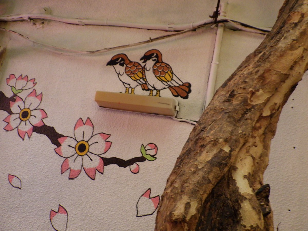 Design Festa (@DesignFesta_EN_) / Posts / X