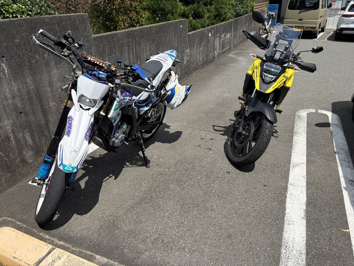 HaraF800S's tweet photo. 底抜けさん　見ぃつけた！ https://t.co/rOK7YT50Ao