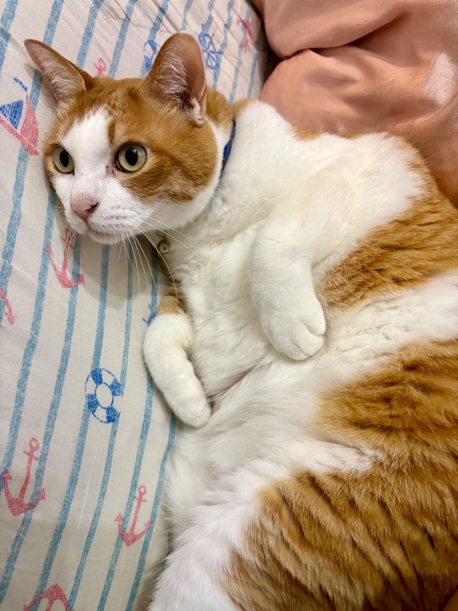 yopich_'s tweet photo. 面接会場は
こちらで合ってますか？ https://t.co/Q7JA3BbxLY