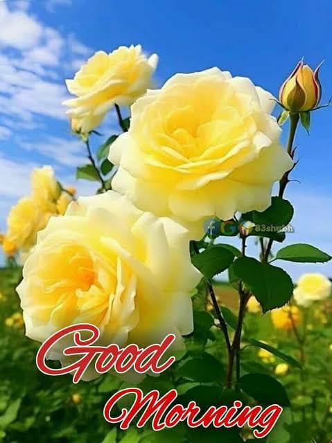 PM_Narendhar's tweet photo. 🕉️ Shirdi SaiBaba Says 🕉️ “Sometimes God is silent because He is preparing blessings greater than your expectations.” #SaiBaba #Goodmorning Happy Baba's Day https://t.co/bjMvO6pXBV