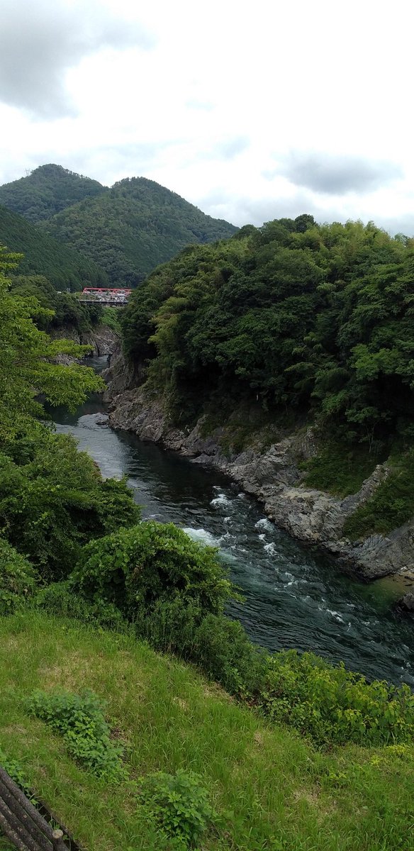ddon_hawk's tweet photo. 各務原から七宗町まで移動しました！　お土産に七宗町銘菓の有平巻😊 https://t.co/YzByFt2gan