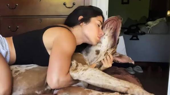 Quest_LisaZoo's tweet photo. Are you curiously in need of some kinky and erotic contents to please your most desired obscenity? Then Dm rn👇
https://t.co/OlWyT5lVo5
#furrynsfw #furry #dogknot #nsfw #breedingpup #gooner #Fetish #taboo  #knotting #creampie #zoophillia #dogs #canyağ #dogknot #dogwhore #germany https://t.co/Vy0d9VkC0S