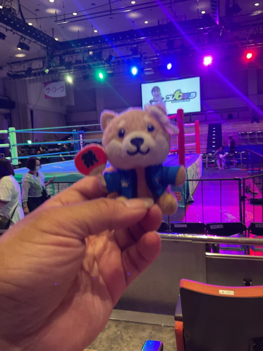 yanachan1967's tweet photo. 今日は全日本プロレス　後楽園ホール大会　　#ajpw  #宮原健斗　　#旅するマメしば https://t.co/qnGGXLhHx9