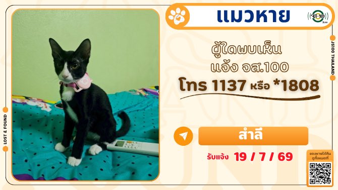 js100radio's tweet photo. แมวกระโดดหายจาก จยย. ช่วงก่อนถึงร้าน CJ ซอยพัฒนาการ 38 ถ.พัฒนาการ เขตสวนหลวง ผู้ใดพบเห็นแจ้ง JS100 โทร *1808 หรือ 1137
.
แมวหาย ชื่อสำลี พันธุ์ไทย เพศเมีย อายุ 4-5 เดือน สีสีดำขาว ปายหางขอด ใส่ปลอกคอสีชมพูมีป้ายชื่อเบอร์โทร เเละที่อยู่ แมวกระโดดหายจยย. ช่วงระหว่างคอสะพานมัสยิด ถึงร้านขายไก่ทอด ก่อนถึงร้าน CJ ซอยพัฒนาการ 38 ถ.พัฒนาการ เขตสวนหลวง เมื่อวันที่ 15 ก.ค. 69 เวลาประมาณ 10:00 น. ผู้ใดพบเห็นแจ้ง JS100 โทร *1808 หรือ 1137

#แมวหาย #ตามหาแมว #JS100