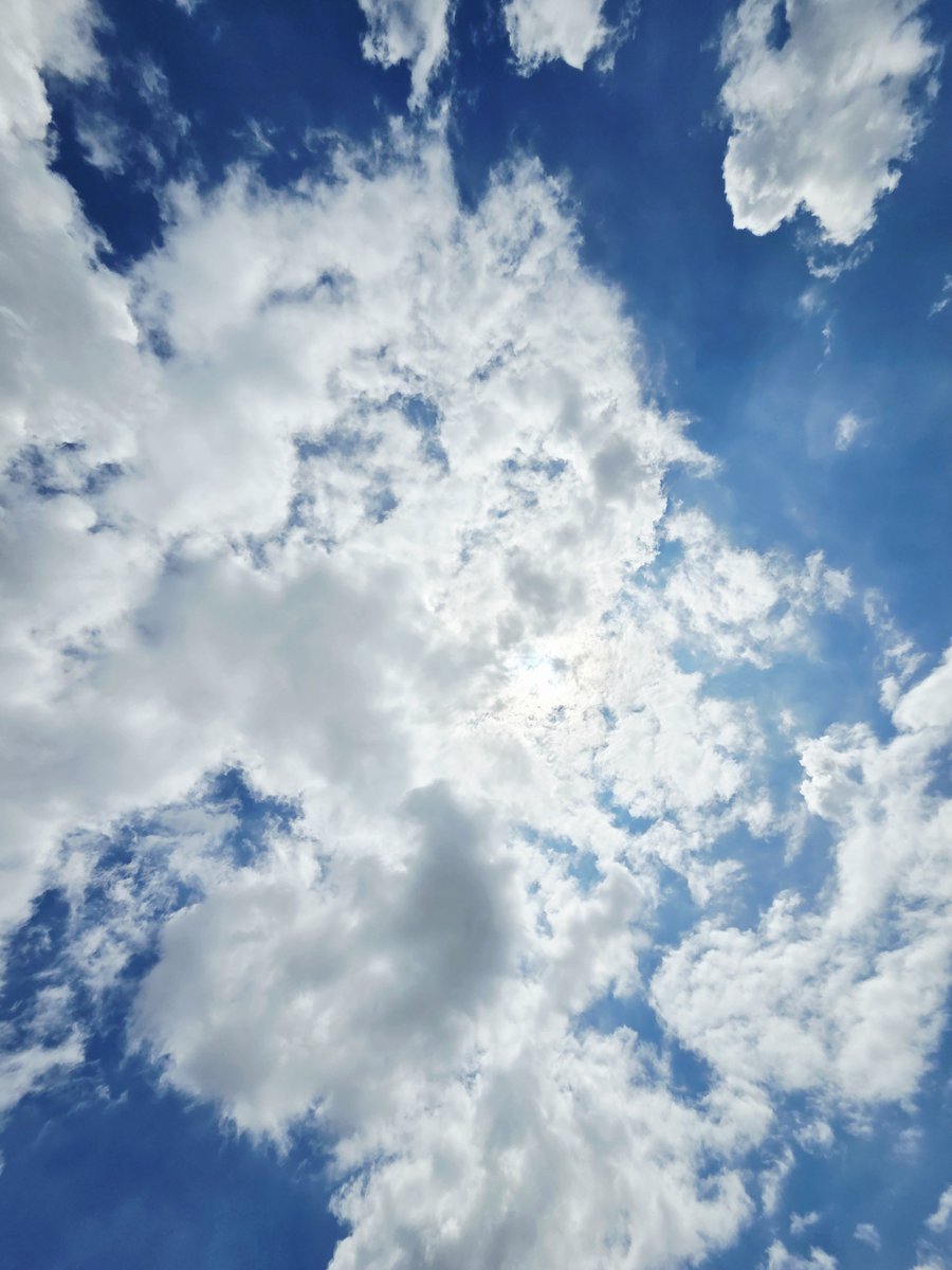 harappermc's tweet photo. 今日もいい天気。後で少し歩きに行こう #イマソラ #青空 #白い雲 #真夏日 #日光浴 #ビタミンD充電 #セロトニン充電 https://t.co/dCVwdpdz9J