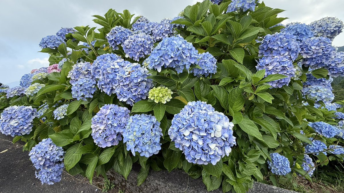 山の上涼しかった〜☺️