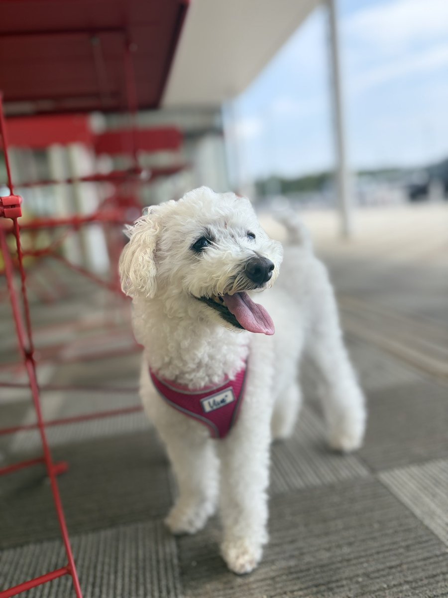 kimaguretabiya's tweet photo. 福島県と宮城県の県境にある国見SAはいろいろ充実〜。

たまたま買った関東・栃木レモンが美味しすぎた！🍋🥛

#2日目
#東北北海道放浪の旅🚗💨 https://t.co/gpr9tLmCXs