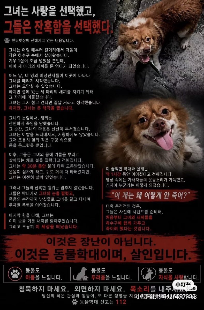 OUYANGCHENLING's tweet photo. 抱歉，由于内网一直删除此新闻，不得已在X发送，它叫旺旺是一只温顺乖巧的狗，被五个小孩霸凌，因为保护孩子它没有逃跑，五个虐狗犯先虐杀了四只小狗，然后折磨大狗，棍棒殴打，铁丝勒住脖子拖行，他们浇上汽油烧小狗，叫着好香，火灭了狗没死，活着被挖眼睛，最后身首异处。视频由他们亲自上传。 https://t.co/OndAWJuAI4