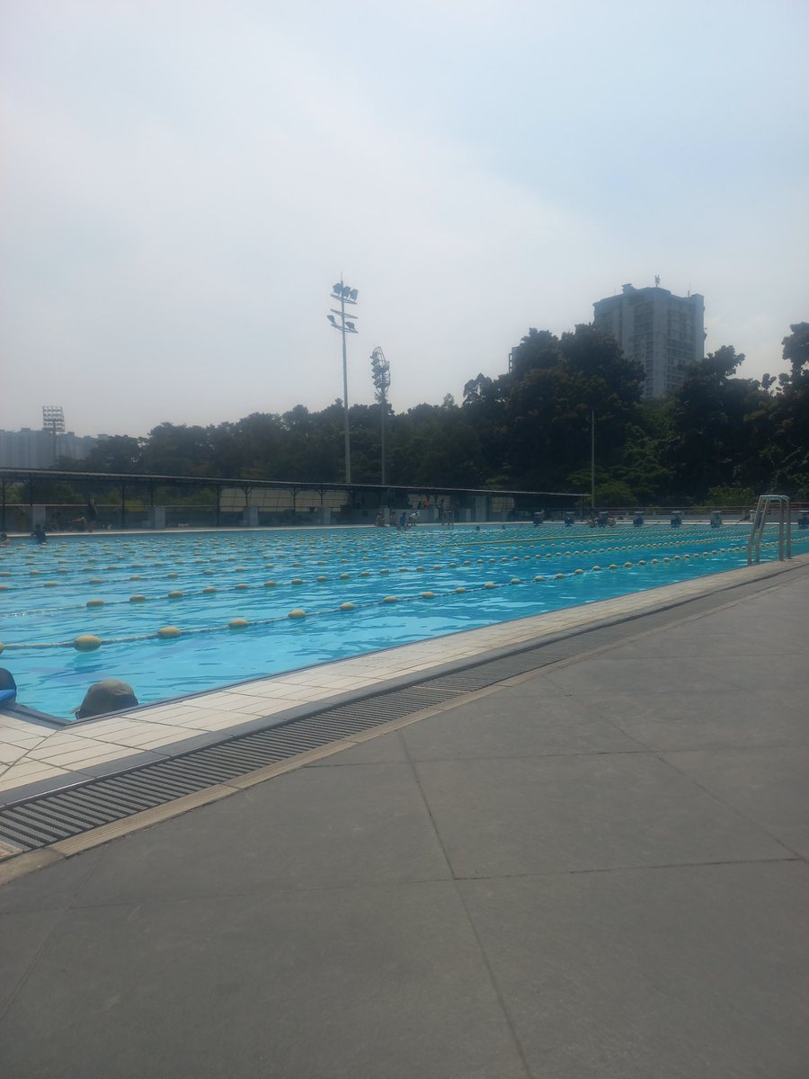 Ploutos99's tweet photo. 🏊‍♂️🏊‍♂️🏊‍♂️ https://t.co/IUL9a7kCzR