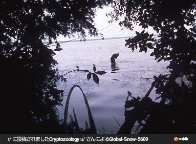 小山田浩史 tweet media