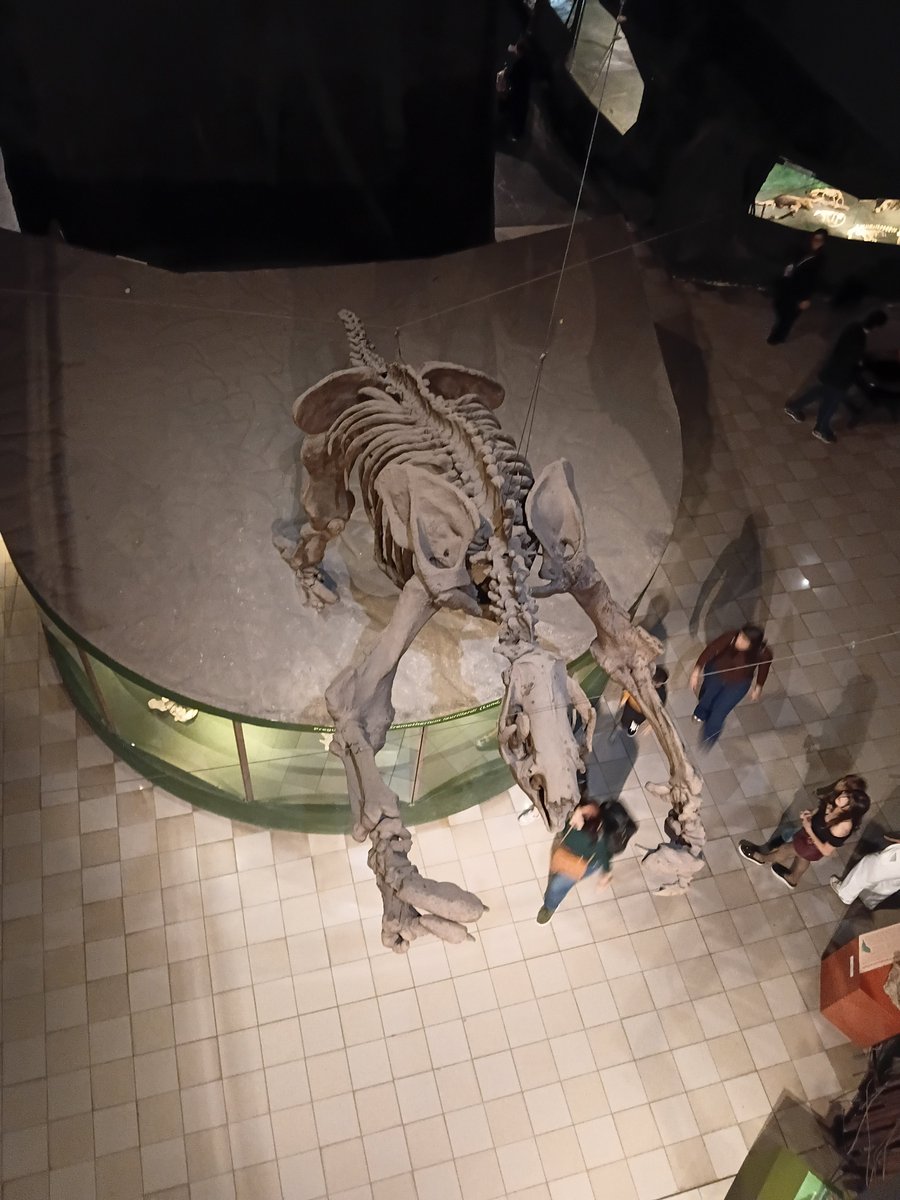 daquiapoco's tweet photo. Saudades eternas megafauna sulamericana https://t.co/lMqI4Oszsy