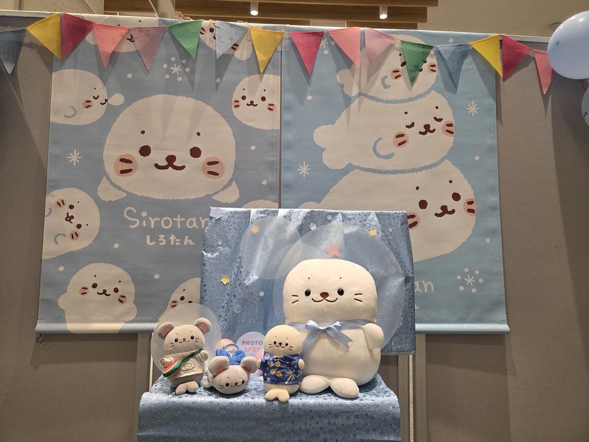 etokintore's tweet photo. #しろグリ https://t.co/d9bKwsA0OR