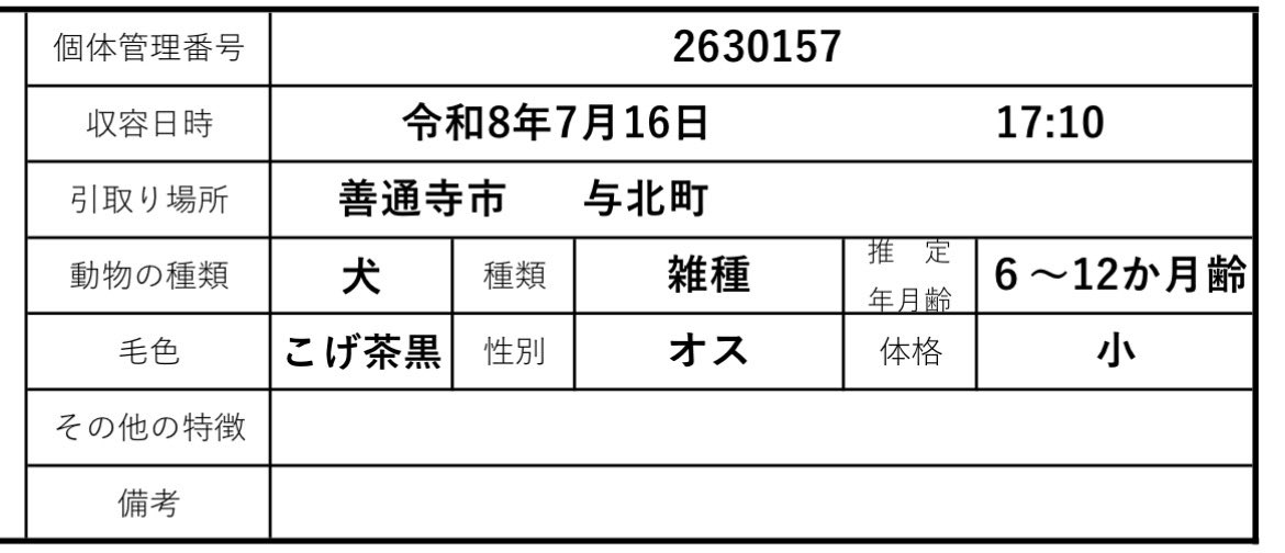 NoCulling's tweet photo. ◉保護団体さんやボランティアさんのトレーニング後譲渡可
◉野外で生活していた為バベシア症フィラリア症の可能性あります

◉募集地域は関東〜九州お住まいの方
◉60歳以上の方でもサポートできる家族と同居されていれば譲渡可

その他お問合せ
▶️ ▶︎@NoCullingまでDM

⚠️保健所へのクレーム📞🆖 https://t.co/Kwu2auAL3O