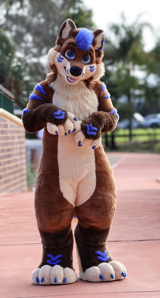shadowodoggo's tweet photo. My fullsuit reveal! 🥰

Lovely work by @jesdenart 🫶 https://t.co/PCcgm8CyV3