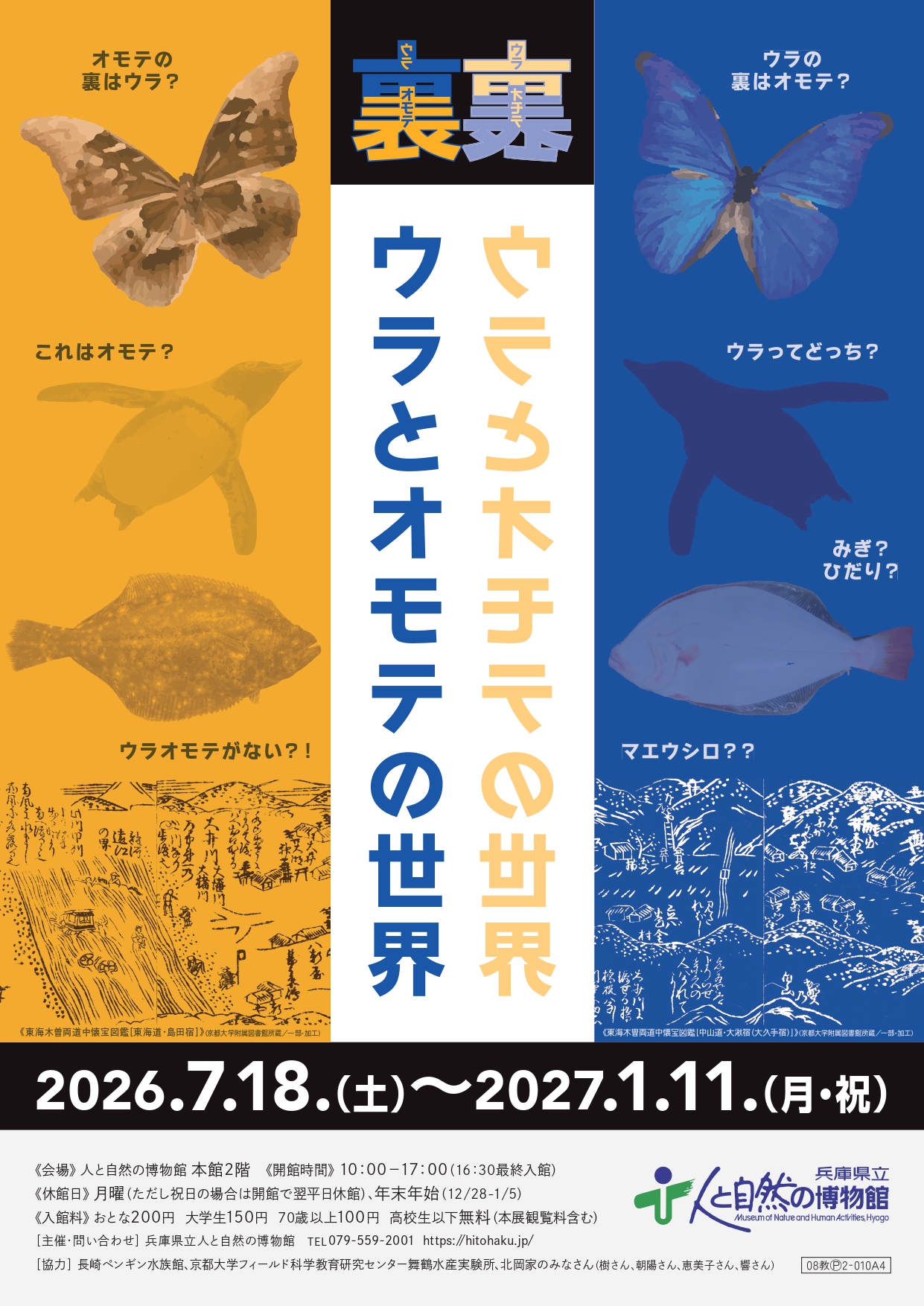 兵庫県立人と自然の博物館 on X: 