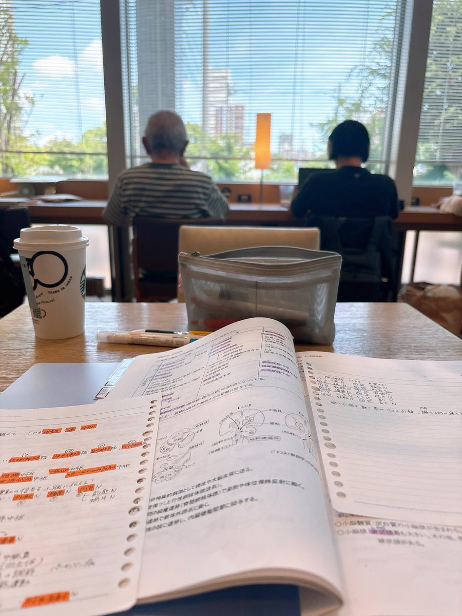 27802441am's tweet photo. お気に入りの場所で試��勉強📚
家の机だと外が見れないから気分転換に🌞
晴れてると気持ち良いし捗る〜〜 https://t.co/WtUjoKHriB
