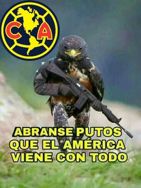 dsedenooo's tweet photo. https://t.co/a9oZ82FIbT