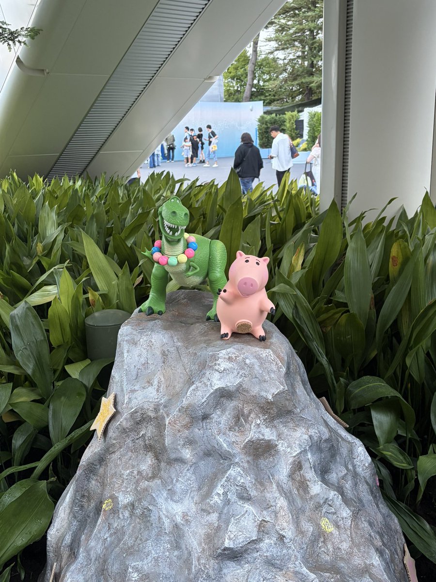 【NEXUS】さな tweet media
