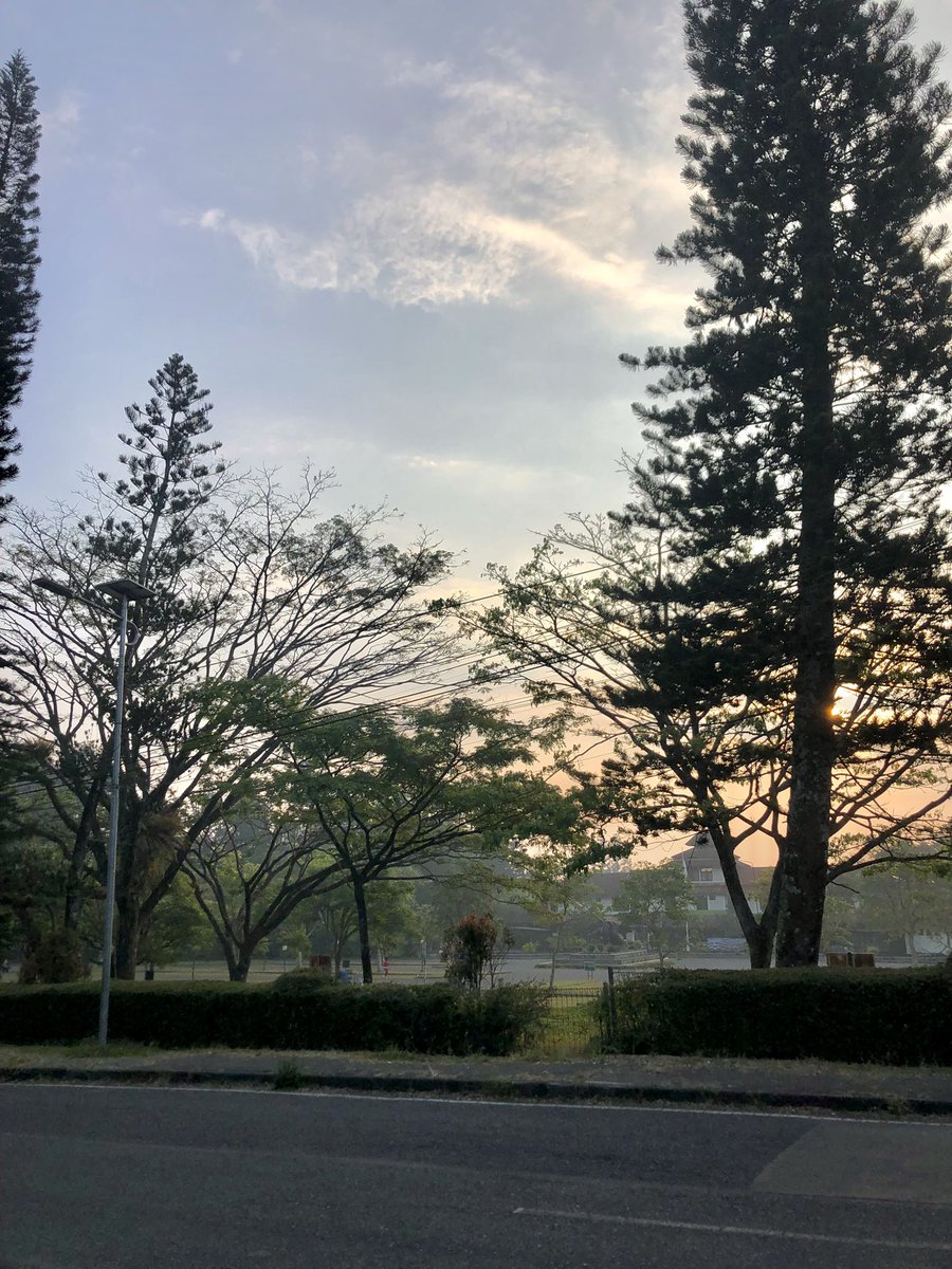 tinkerily's tweet photo. how my neighborhood for the next 6 months looks like: https://t.co/9SgwAaTnr5