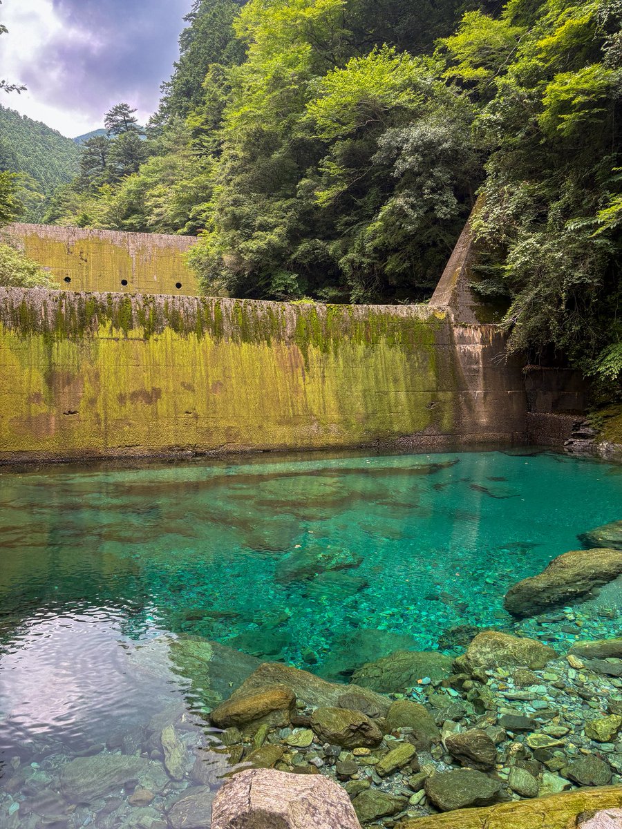 shin_ei0210's tweet photo. 💧
#仁淀川 #仁淀ブルー #水晶淵 https://t.co/U01PH6AIB4