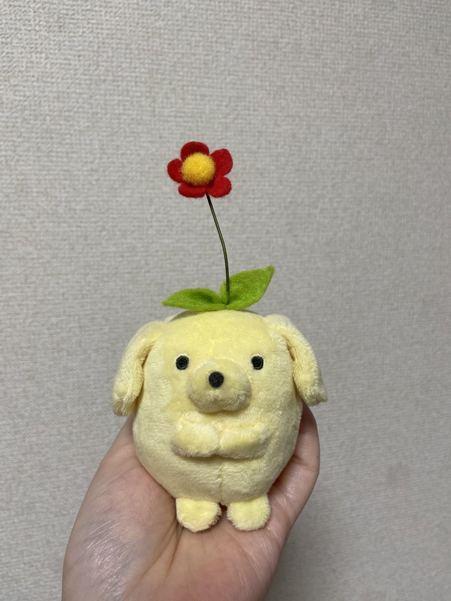 yawarakai_nui's tweet photo. ぽちっち、いっぱいかわいいって言ってもらえて𝓗𝓪𝓹𝓹𝔂…お花咲きました🌸 https://t.co/RtklQ6wVig