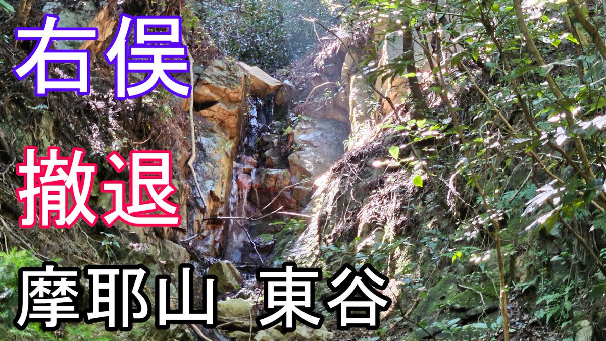 akirapitya's tweet photo. 【動画：撤退！　摩耶山東谷に右俣があった！】

今回、六甲山系の谷で初めて撤退。 

某登山SNSアプリの地図には濃い軌跡があったけれど、今は行けなくなったかも知れない現状をどうぞ。

  https://t.co/gn1tZ7rmWz https://t.co/2r5lOy1AjY