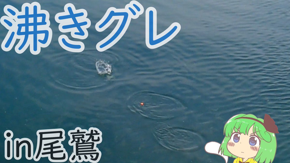 midorimyon's tweet photo. 新作です。長い動画なのでお酒でも飲みながらゆっくり見ていってね！
https://t.co/TUZBLiQw7D https://t.co/YVNbGibFGW