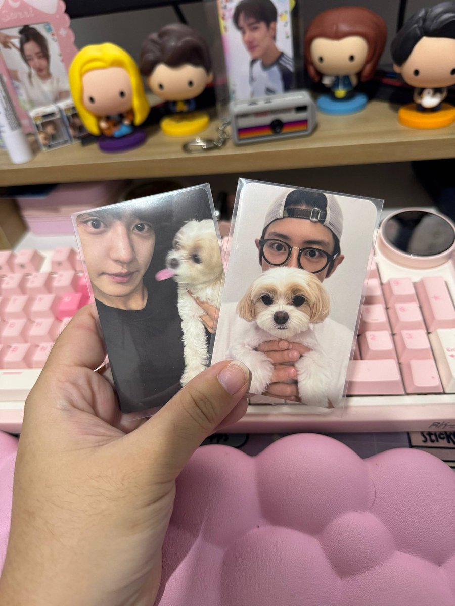 pengpengsells's tweet photo. #WTS
Toben and Zzar Doll + these Chanyeol Pcs SELLING AS A SET ONLY for 3000
MOP; Maribank
Note: Dolls can be shipped ASAP but PCs will be shipped on July 28 onwards as the photocards are with my friend
#EXO #Chanyeol #EXOdoll https://t.co/S9OpNHJbbY