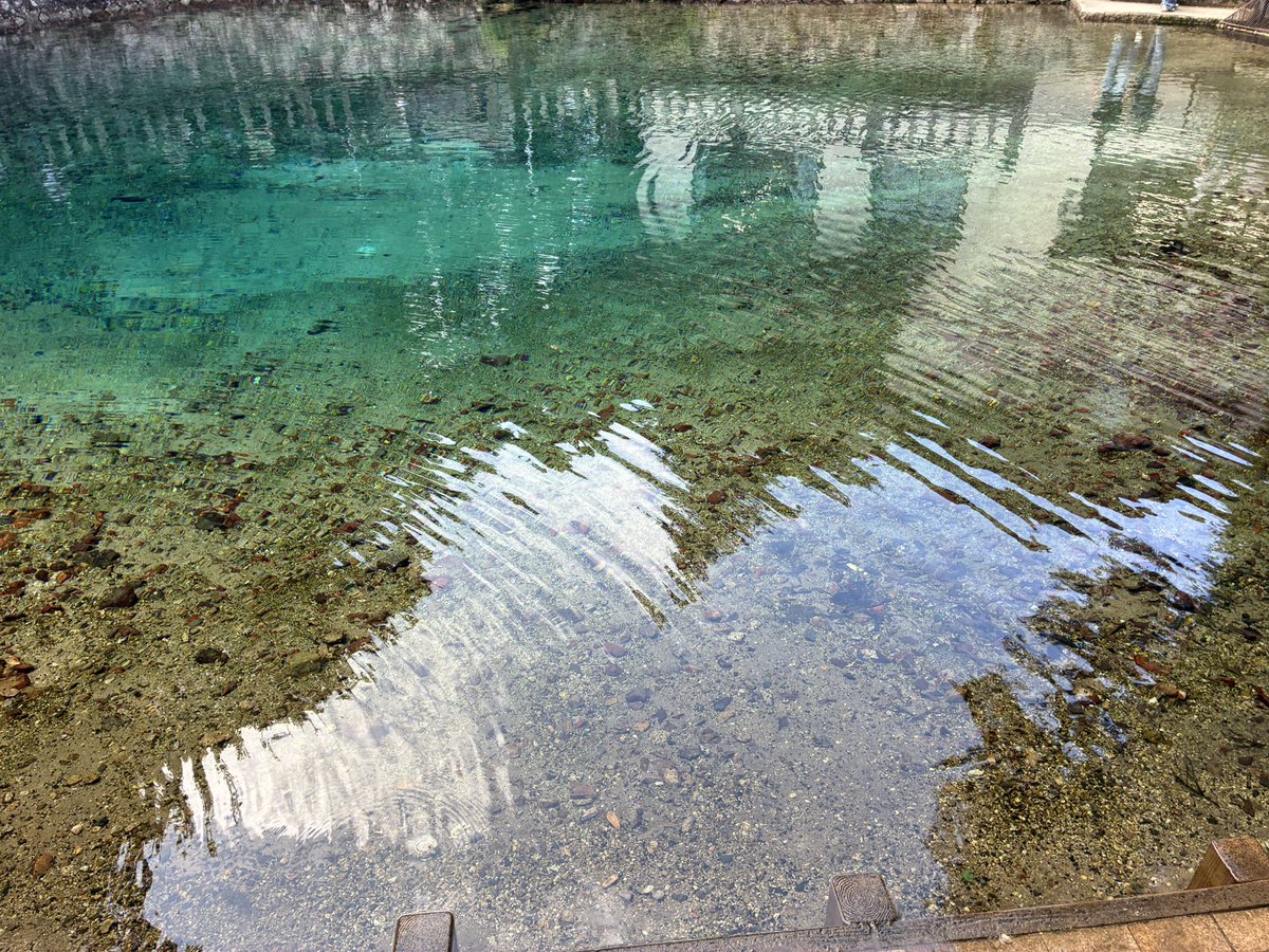 tontoloo's tweet photo. 暑すぎてやばいから帰る！(え？)

秋芳洞はまじで冷房入ってるんか！？って思うくらい涼しかったけどその後池向かうのに10年振りくらいにチャリ漕いで衰え感じるとともに絶対焼けた気がして萎えておりますが、行きたいとこ行けたからよし！

身体大事！解散！！ https://t.co/PKayR8vAAp